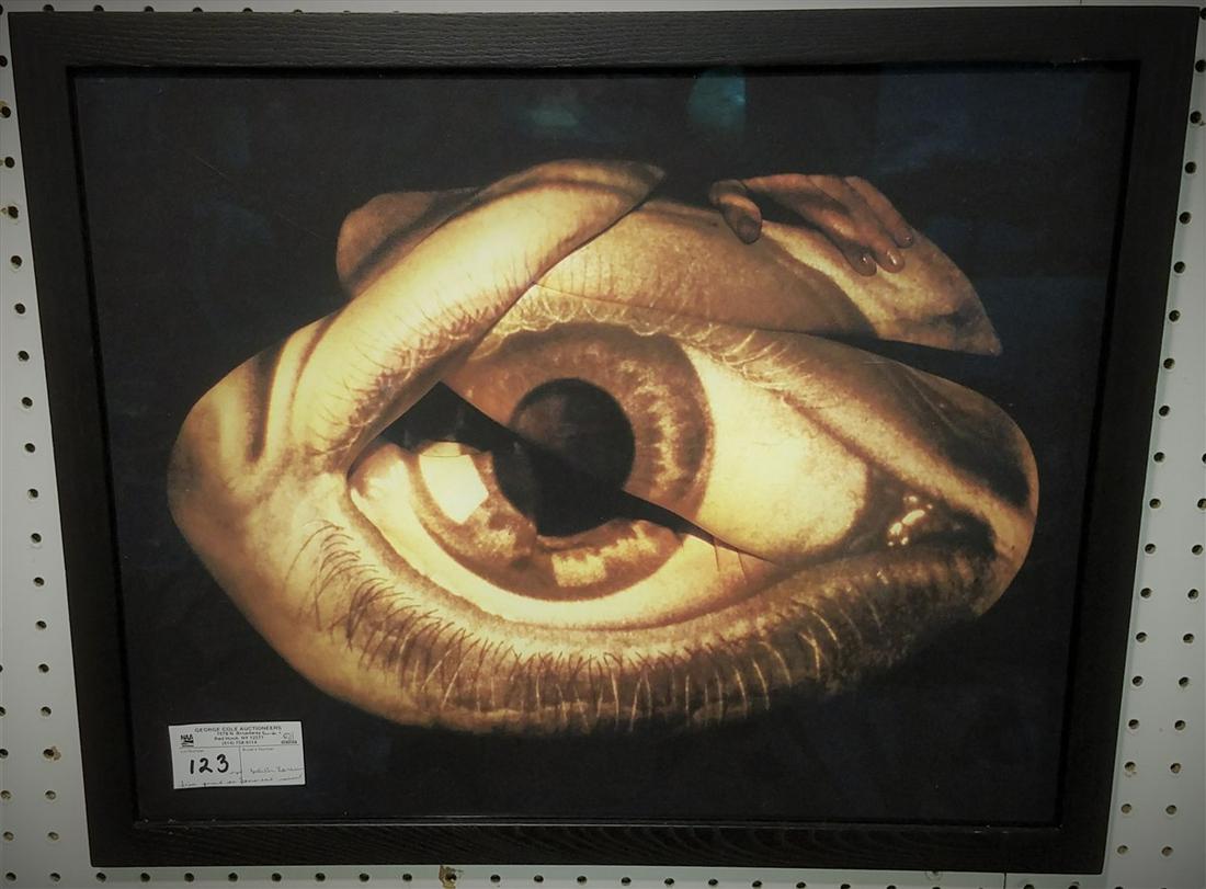 FRAMED IRIS PRINT ON SOMERSET VELVET, "SPLICE", SGND, (1 of 1)