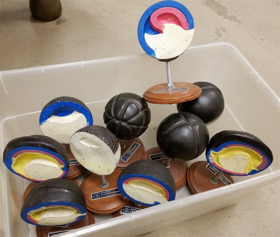 TUB 10 VINTAGE BOBBIT LABORATORIES EMBRYO CELL MODELS (1 of 2)