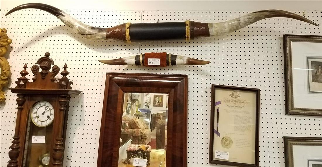 LONGHORN STEER HORNS, 5'5"L + COW HORNS 25" (1 of 1)