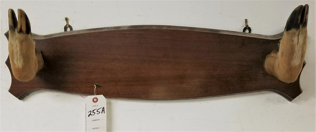 DEER HOOF GUN RACK PLAQUE: DEER HOOF GUN RACK PLAQUE