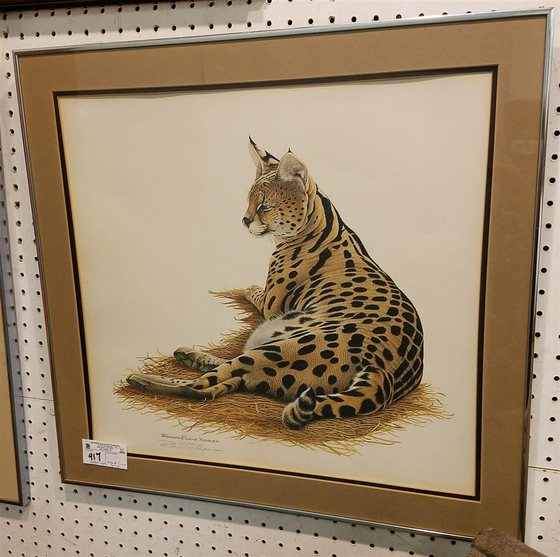 FRAMED LITHO, SERVAL PENCIL SGND. RICHARD EVANS (1 of 1)