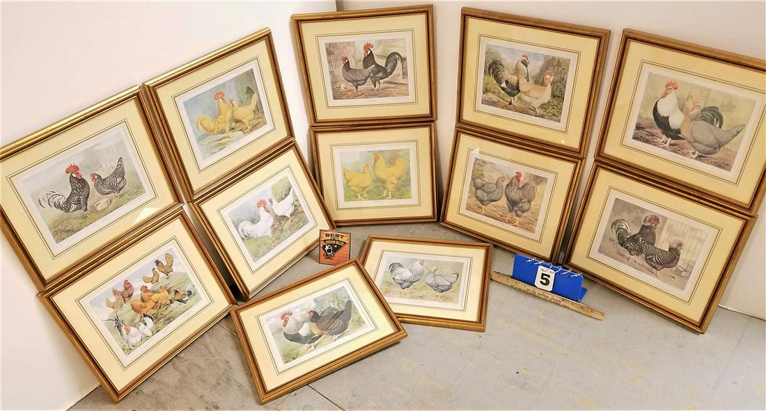 BX/ 12 FRAMED CHICKEN PRINTS, 7.25" X 9.75" (1 of 5)