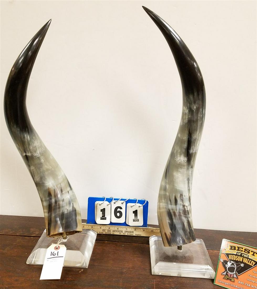 PR. LUCITE MOUNTED STEER HORNS, 21" (1 of 1)