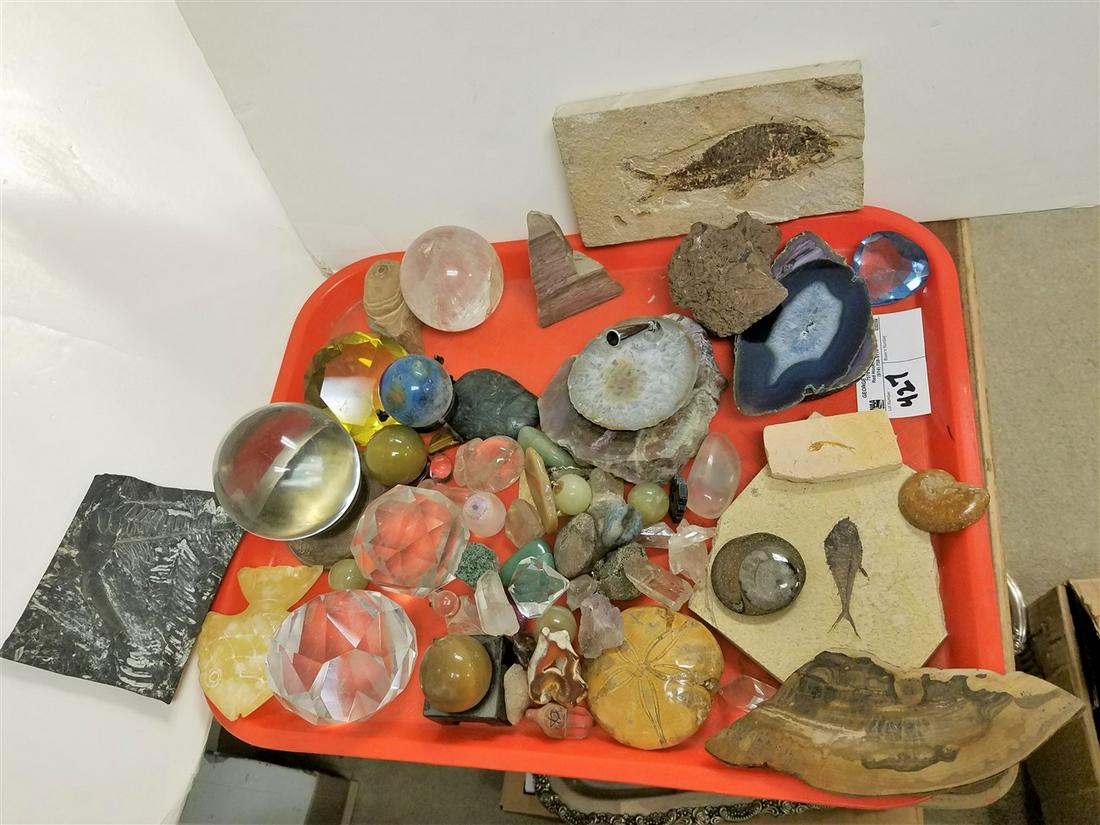 TRAY FOSSILS, MINERALS, CUT GLASS GEMS, ETC. (1 of 1)