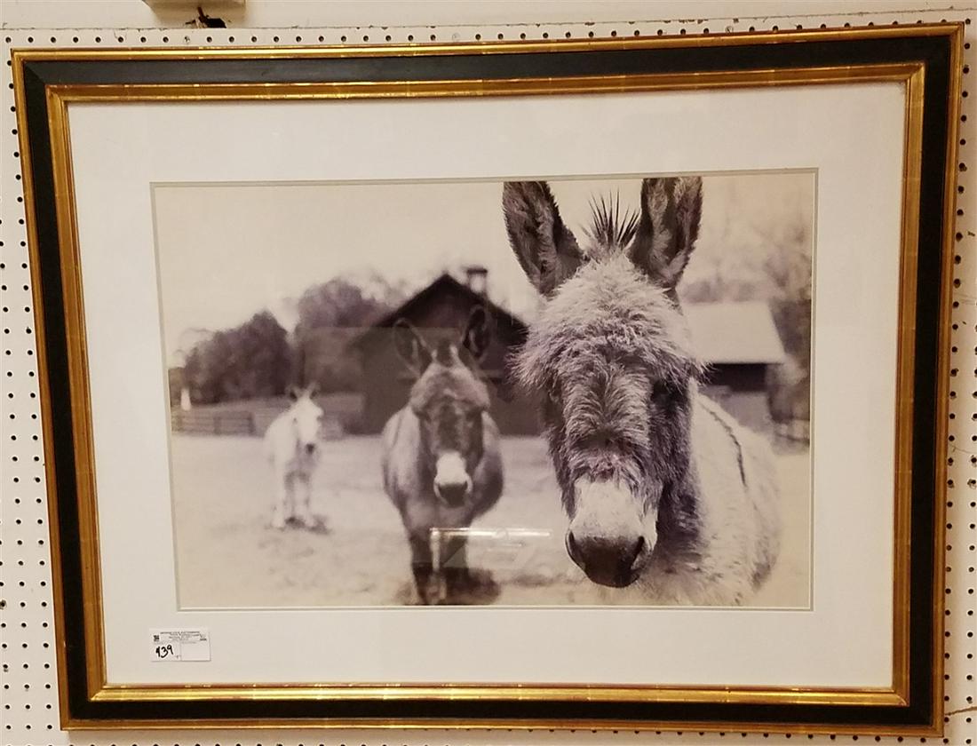 FRAMED PR. DONKEY PHOTOS, 29" X 19.5" EA. (1 of 4)