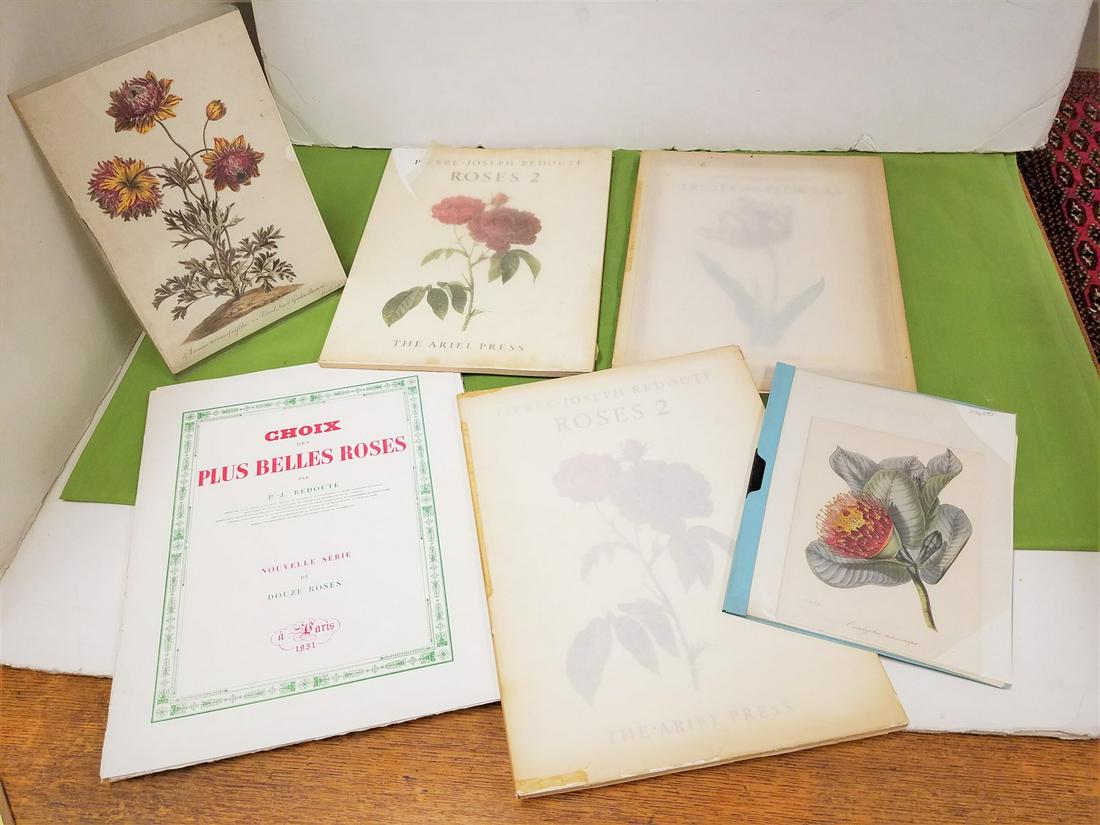 BX 4 PIERRE-JOSEPH REDOTE 50'S FOLIO BKS OF (1 of 7)