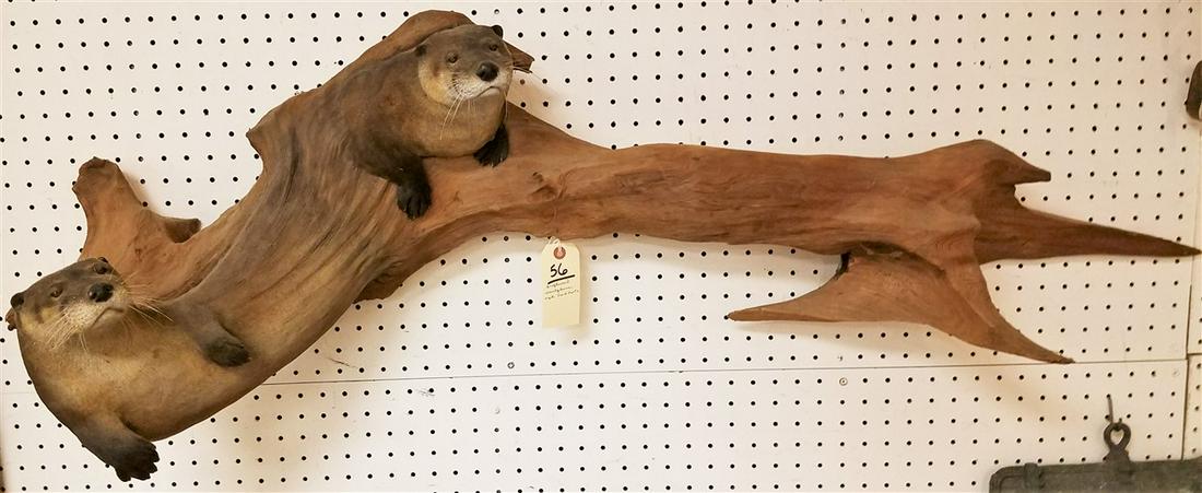DRIFTWOOD SCULPTURE W/ OTTERS, SGND. EARL MARTZ, 16"H X (1 of 5)