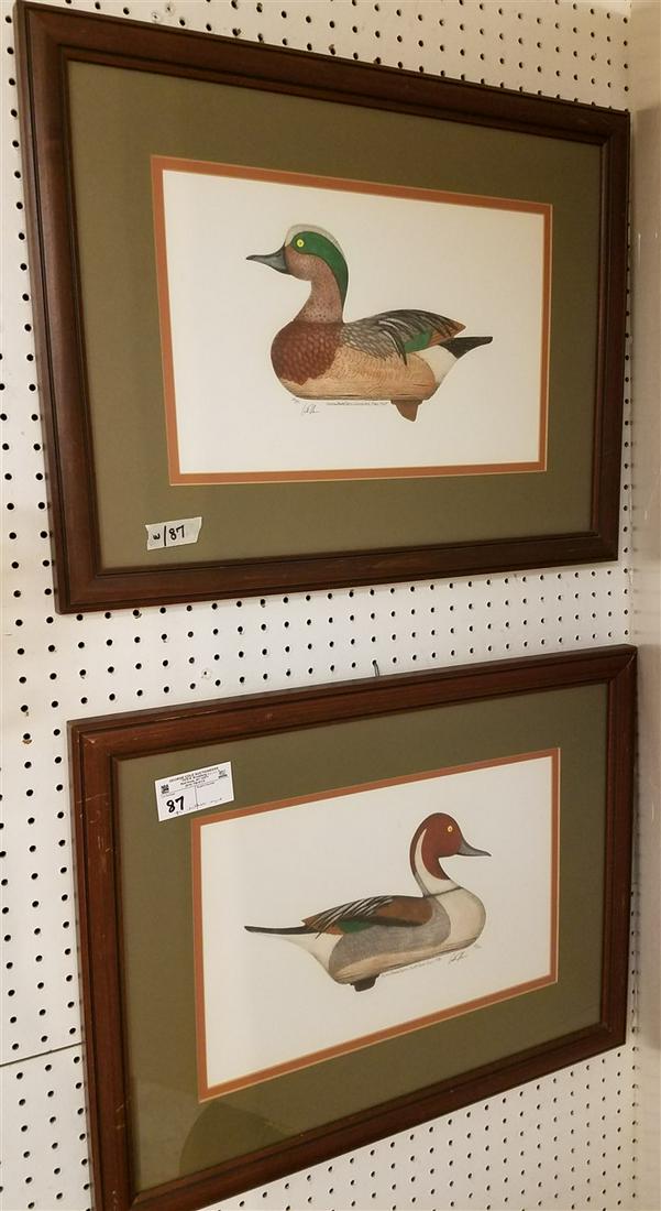 PR. FRAMED LITHOS DECOYS, PINTAIL DRAKE + WIDGEON (1 of 5)