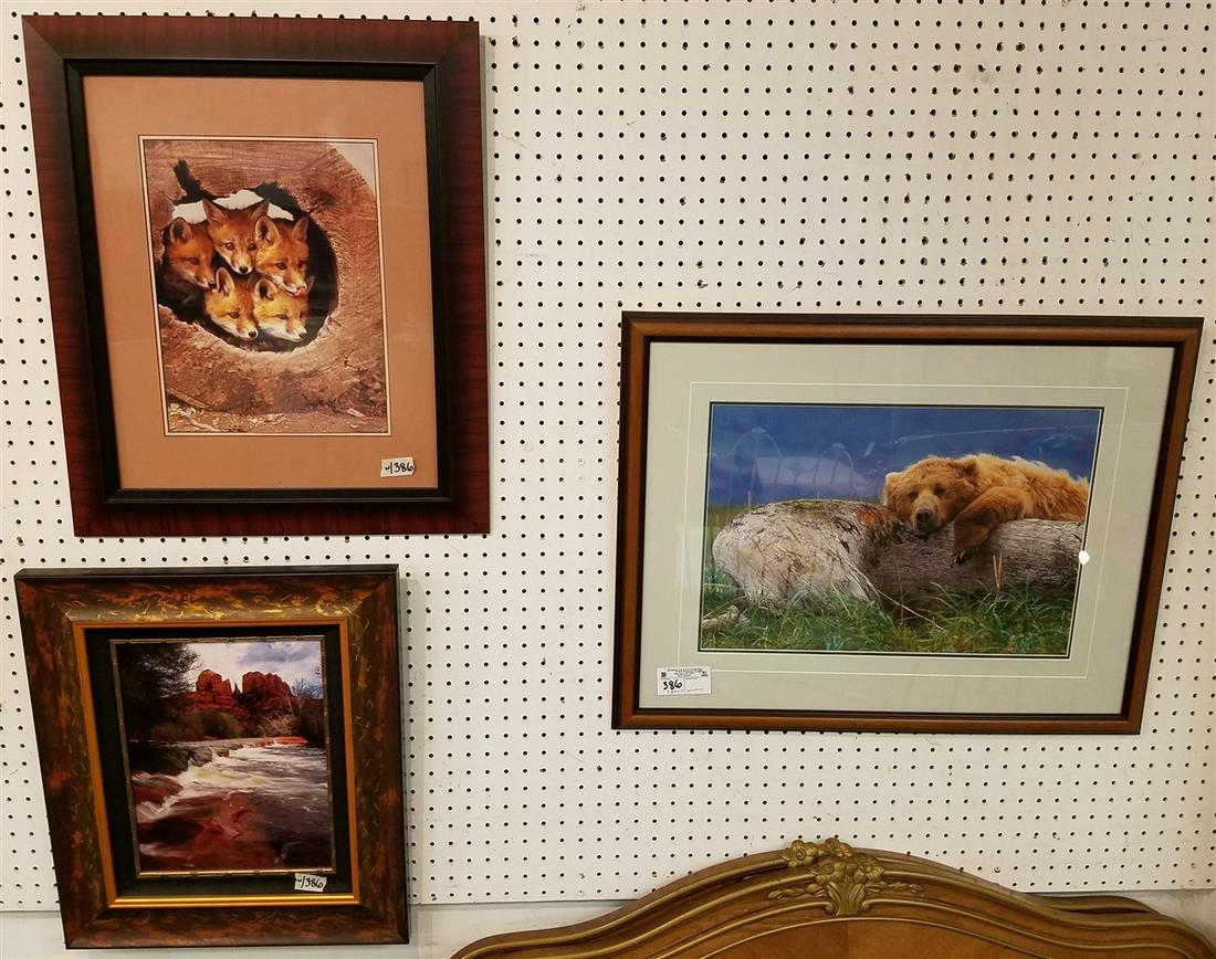 3 FRAMED WILDLIFE PHOTOS (1 of 4)