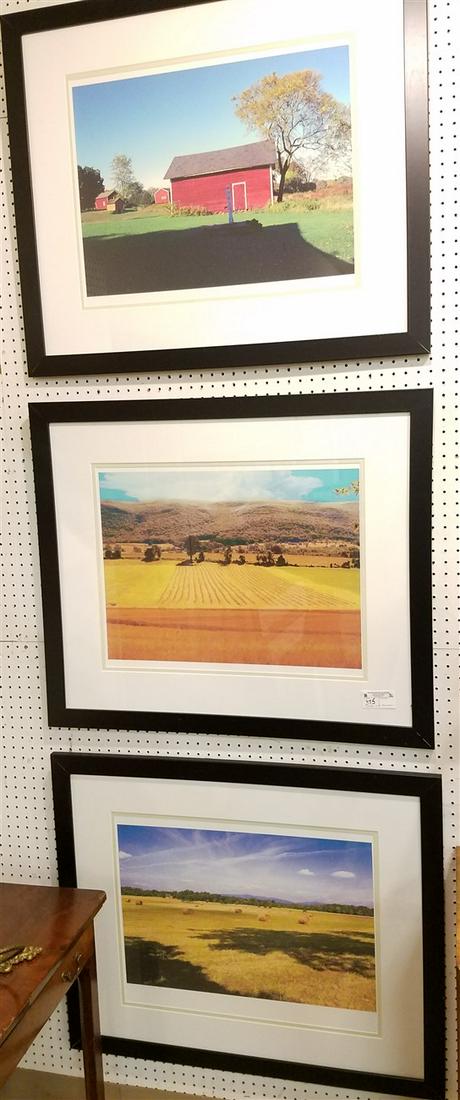 3 FRAMED PRINTS, BARN + FIELDS, SGND. STAND LICHENS, (1 of 10)