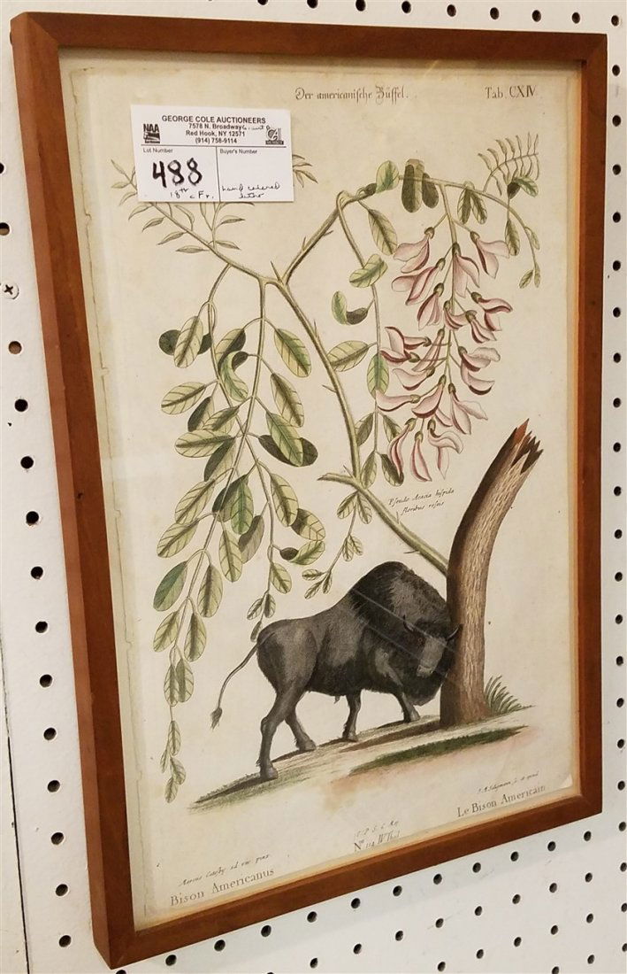 FRAMED FR. 18th c. HAND COLORED LITHO AMERICAN BISON, (1 of 1)