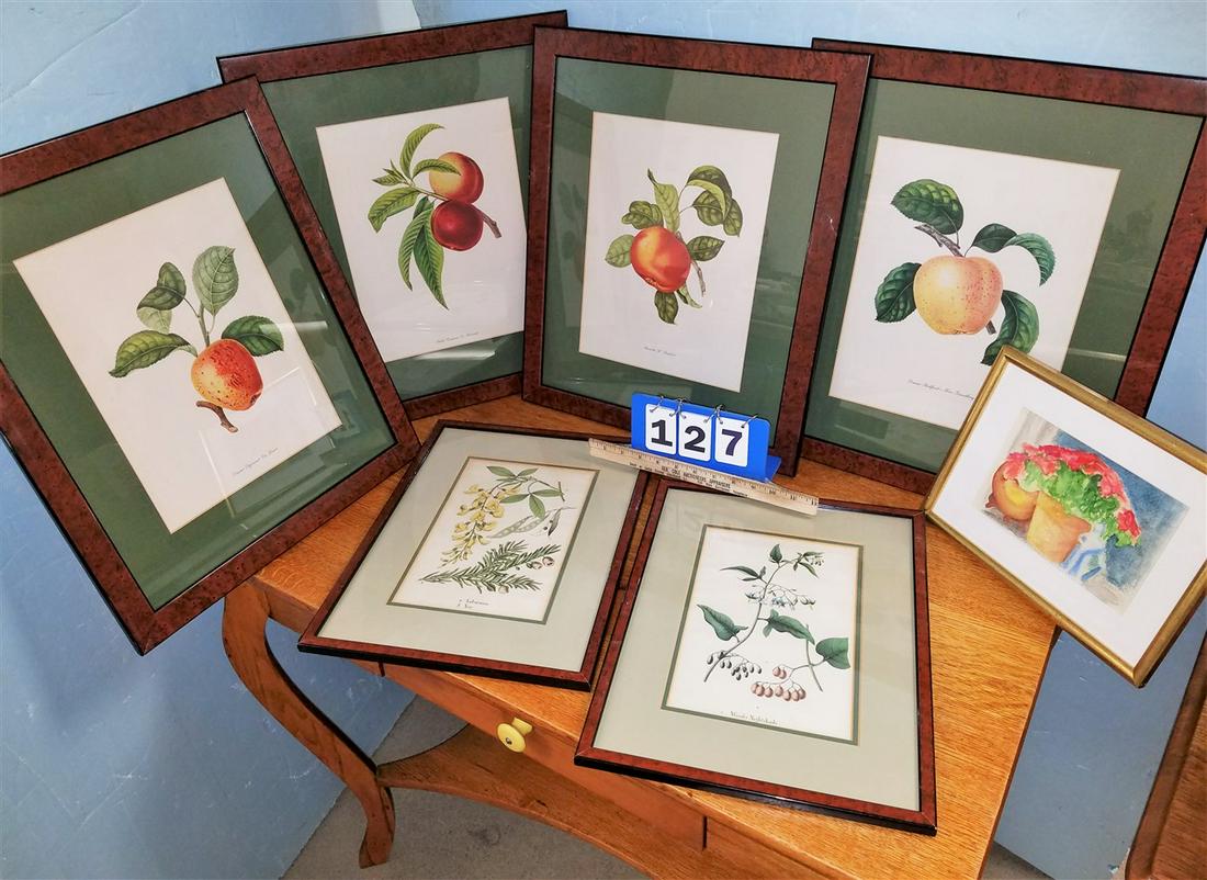 BX 7 FRAMED ITEMS 4 LITHOS OF APPLES, 12.25" X 9.5", 2 (1 of 1)
