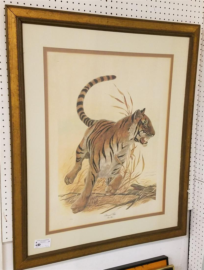 FRAMED LITHO BENGAL TIGER PENCIL SGND. JOHN A. RUTHVEN (1 of 4)