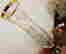 item-128126462=5