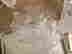 item-128126472=15