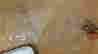 item-128126472=7