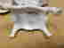 item-128126473=9