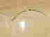 item-128126543=5