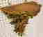 item-128126624=2