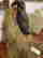 item-130733425=5