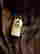 item-130733640=3