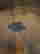 item-130733651=5