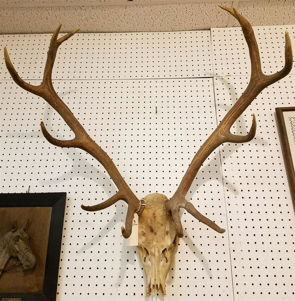 ELK RACK - Aug 20, 2022 | George Cole Auctions in NY