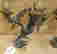 item-135898534=3