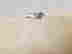 item-135898752=5