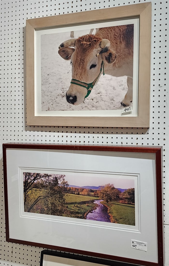 LOT 2 FRAMED PHOTOS COW 16" X 20", LANDSCAPE 9 1/2" X 24" SGND. STEVE GORDAN (1 of 4)