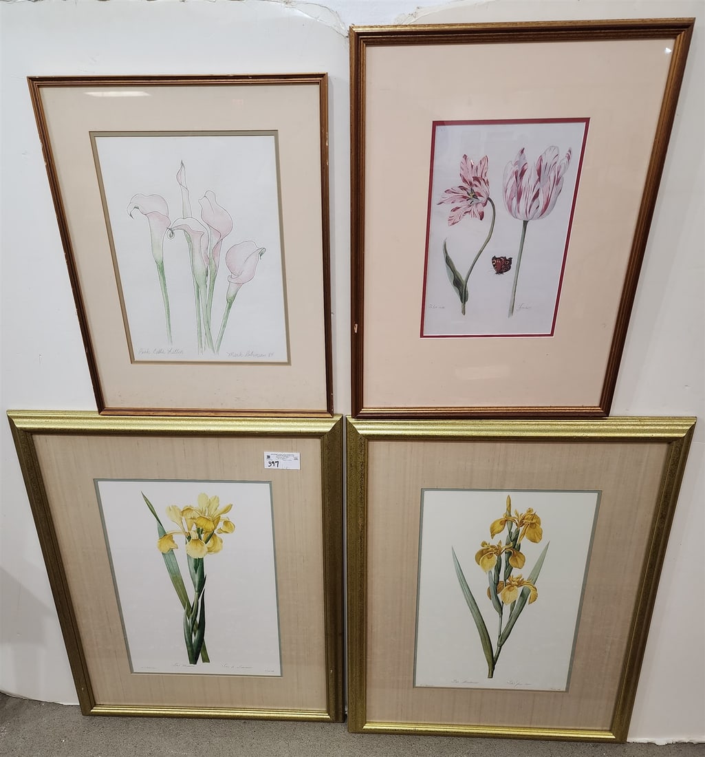 Lot framed botanical prints pr.21"x14",13.5"x9",15"x11" (1 of 7)