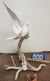 Boehm Dove Of Peace 10049 M 29" From The Norman Vincent Peale Foundation