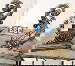 Pr Brass Dolphin Andirons Virginia Metal Crafters Waynesboro Va 15"H X 10"W