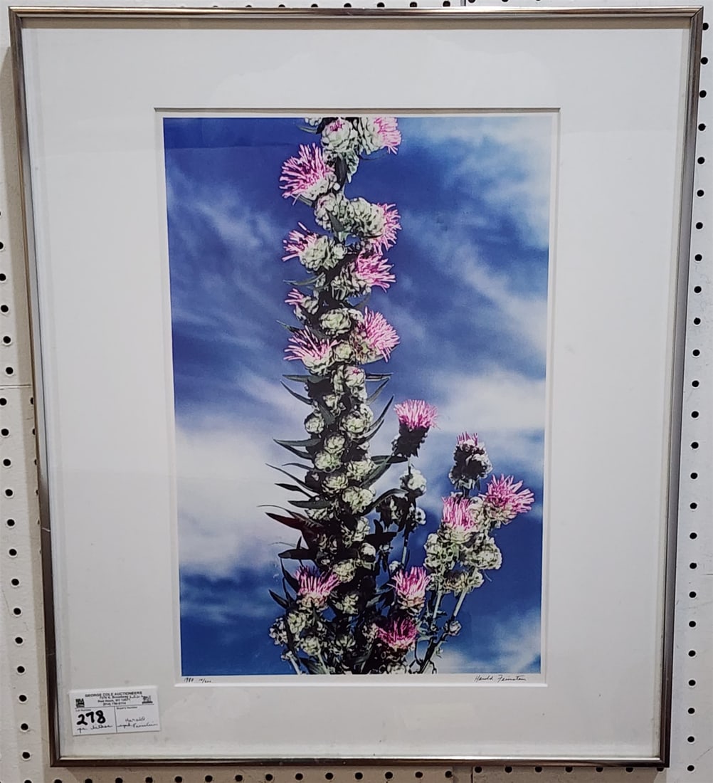 Pr Frame Lithos Floral Sgnd Harold Feinstein 1980 10/200 18 1/2" X 12" W/ Frame 24" X 20": Pr Frame Lithos Floral Sgnd Harold Feinstein 1980 10/200 18 1/2" X 12" W/ Frame 24" X 20"