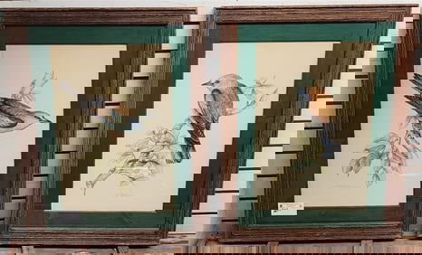 Pr Framed W/C Birds Sgnd M.E. Fager