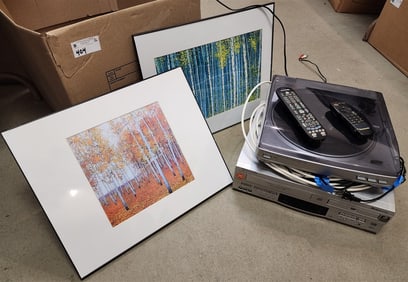 Bx AIWA Turntable, Panasonic Double Feature DVD Player + 2 Framed Prints