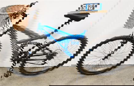 Dynacraft Bike