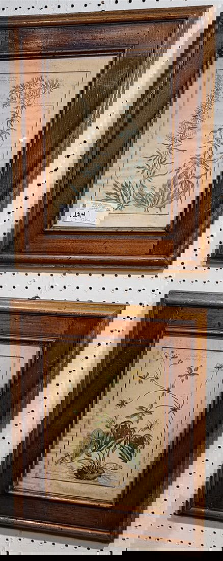 Pr. Framed 18th C Hand Colored Botanical Engr. 12" X 9" w/Frame 18" X 15" (1 of 9)