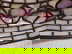 item-209338049=5