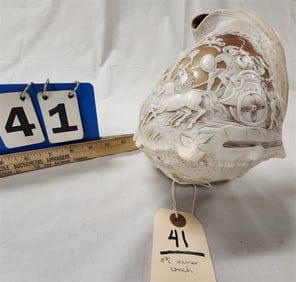 19th C Cameo Conch 8" H X 6" W