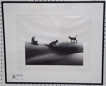 Framed Photograph Body Scapes "Pussy Cats" 32/100 Sgnd Allen Teger 14" X 18" w/Frame 20 1/4" X 24
