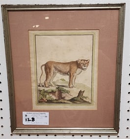 Framed 18th C Hand Colored Engr. Of Lion 8 1/2" X 7" w/Frame 13 1/2" X 11 3/4"