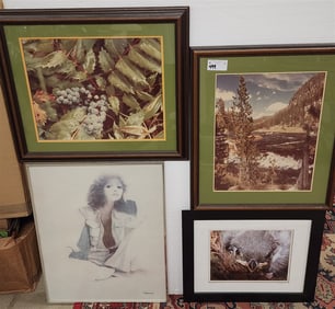 4 Framed Items - Photos By Dan Marazita + Print