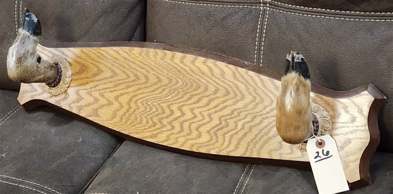 Oak & Deer Hoof Gun Rack 8" H X 30" W