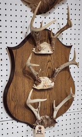 Oak Wall Plaque w/3 Antler Mounts 24" X 16"