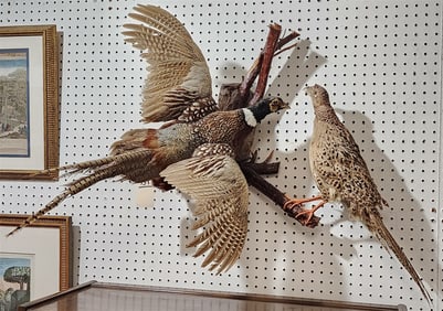Wall Mount w/2 Full Mount Pheasants