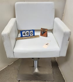 Savvy Salon Adjustable Chair