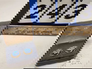 Pr. 14K & Opal Earrings 3.3 Grams (Weight With Stone)