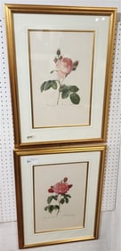 Pr. Botanical Prints 20" X 13" w/Frame 30" X 22 1/2"