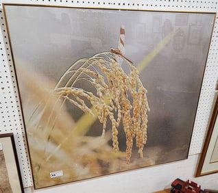 Framed Print Of Wheat 39" X 43 1/2"
